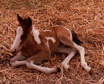 Think I'll stay here forever...