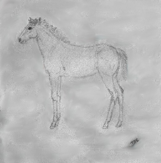 Sand Speckle at 6 months.