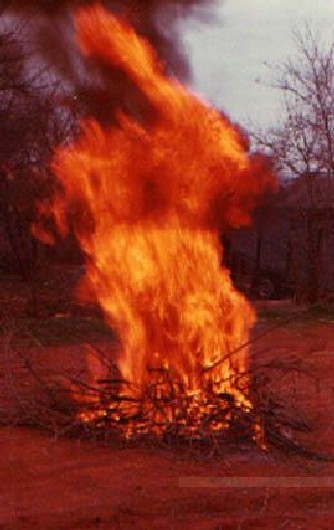 Fire lives and breathes, its form forever changing.  These flames, frozen to stillness, seem to be a hungry demon or a fiery incarnation of Charon.