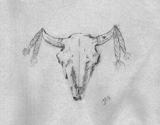 Old sunbleached skull still has a use.