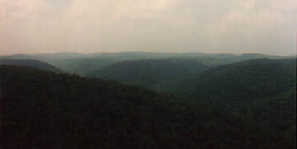 These rolling hills fade into a soft mist.
