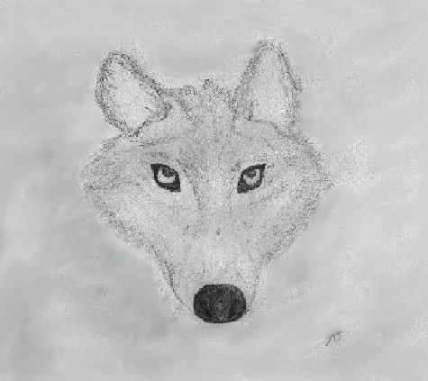 Hungry Like the Wolf...